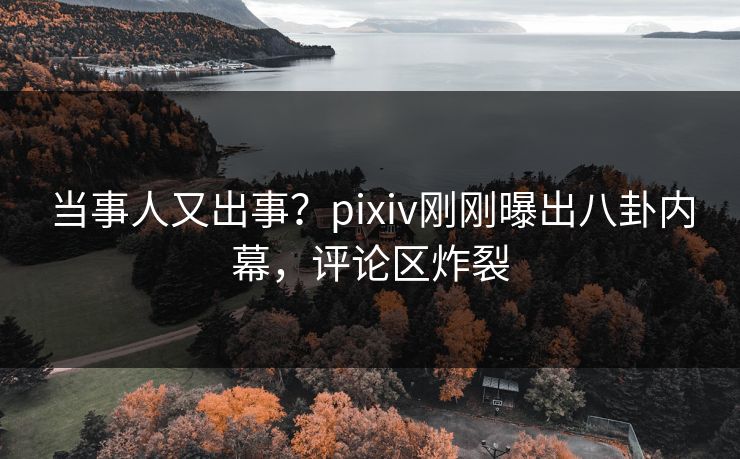 当事人又出事？pixiv刚刚曝出八卦内幕，评论区炸裂