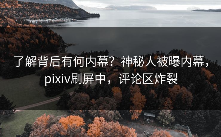 了解背后有何内幕？神秘人被曝内幕，pixiv刷屏中，评论区炸裂