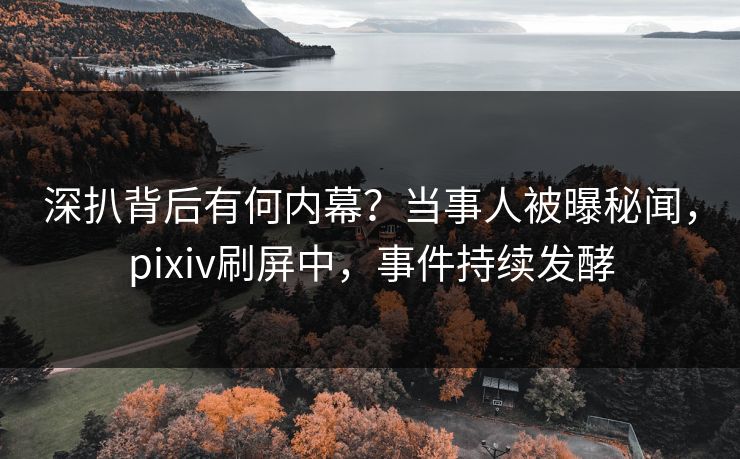 深扒背后有何内幕？当事人被曝秘闻，pixiv刷屏中，事件持续发酵