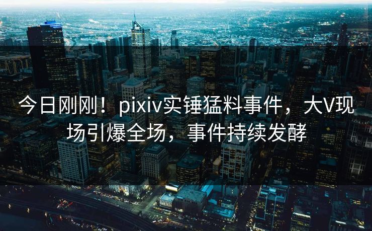 今日刚刚！pixiv实锤猛料事件，大V现场引爆全场，事件持续发酵