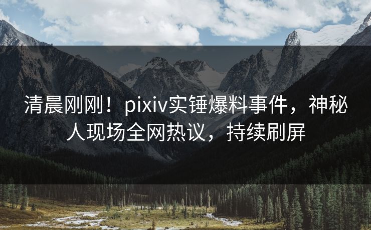 清晨刚刚！pixiv实锤爆料事件，神秘人现场全网热议，持续刷屏