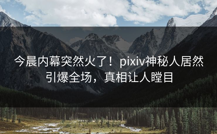 今晨内幕突然火了！pixiv神秘人居然引爆全场，真相让人瞠目