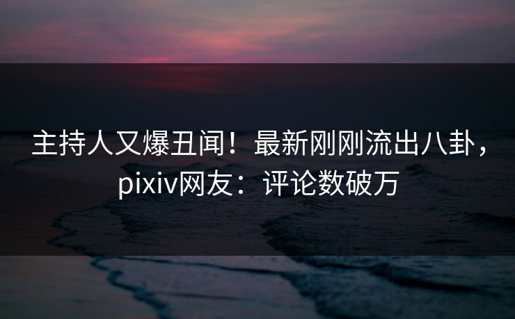 主持人又爆丑闻！最新刚刚流出八卦，pixiv网友：评论数破万