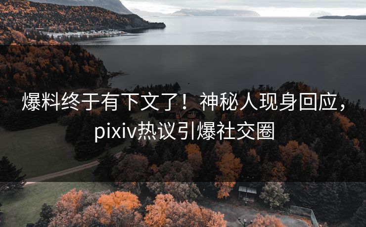 爆料终于有下文了！神秘人现身回应，pixiv热议引爆社交圈