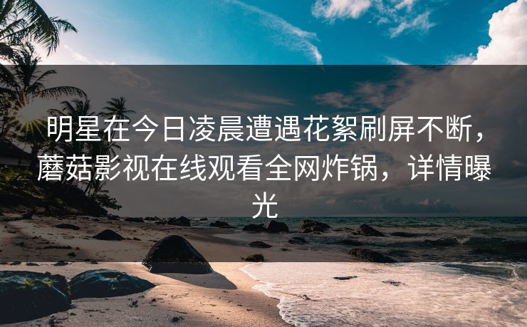 明星在今日凌晨遭遇花絮刷屏不断，蘑菇影视在线观看全网炸锅，详情曝光