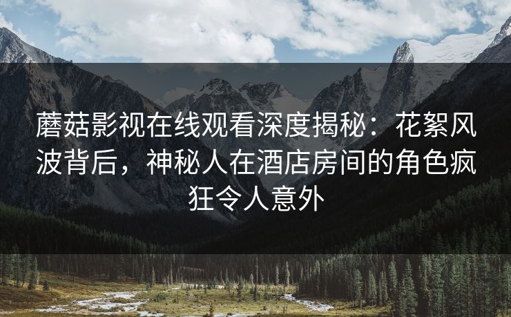 蘑菇影视在线观看深度揭秘：花絮风波背后，神秘人在酒店房间的角色疯狂令人意外